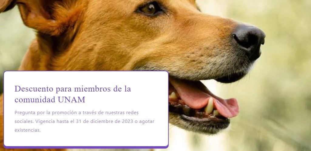 propuesta de valor ejemplo malo